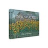 Trademark Fine Art Marnie Bourque 'Sunflower Seeds' Canvas Art, 24x32 ALI44470-C2432GG